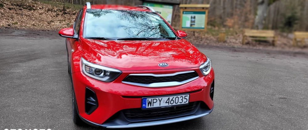 Kia Stonic cena 77900 przebieg: 5460, rok produkcji 2020 z Lipno małe 781